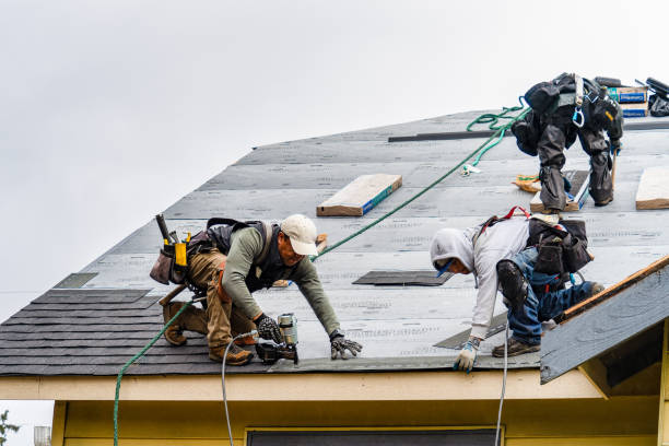 Professional Gutter Installation technician working in Henderson, TN
